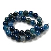 Faceted Natural Dragon Veins Agate Beads Strands G-F447-12mm-L06-3