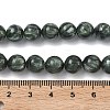 Natural Seraphinite Beads Strands G-C270-O01-07-5