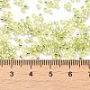 Glass Seed Beads SEED-S042-04B-24-4