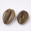 Spray Painted Natural Cowrie Shell Beads X-SHEL-S274-26-3