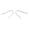 Tarnish Resistant 201 Stainless Steel Earring Hooks. Ear Wire STAS-O137-25P-A-2