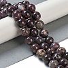 Natural Plum Blossom Tourmaline Beads Strands G-K364-B01-03-2