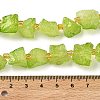 Raw Rough Natural Quartz Crystal Beads Strands G-Z131-J01-09-3