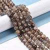 Natural Multi-Moonstone Beads Strands G-I247-14A-01-1