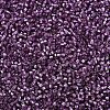 MIYUKI Delica Beads SEED-J020-DB2169-3