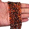 Natural Carnelian Beads Strands G-K389-B43-01-3