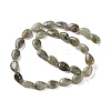 Natural Labradorite Beads Strands G-K357-A14-01-3