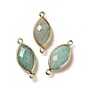 Natural Amazonite Faceted Connector Charms G-K347-03G-21-1