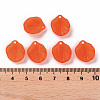 Transparent Frosted Acrylic Pendants MACR-S371-02A-726-4