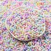 Macaron Color Opaque Frosted Glass Seed Beads X1-SEED-K009-12B-01-2