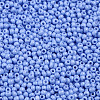 11/0 Grade A Round Glass Seed Beads SEED-N001-A-1022-2