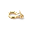 Brass Pave Clear Cubic Zirconia Charms KK-A273-01G-O-2