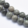 Natural Green Line Jasper Beads Strands X-G-P361-01-8mm-3