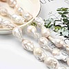 Natural Baroque Pearl Keshi Pearl Beads Strands PEAR-Q015-017-4