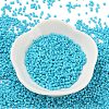 Baking Paint Glass Seed Beads X-SEED-S042-05B-58-2