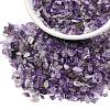 Natural Amethyst Chip Beads G-L453-06-5