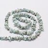 Natural Larimar Chip Bead Strands G-M298-13-2