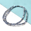 Natural Blue Spot Jasper Beads Strands G-G085-B41-01-2