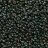MIYUKI Round Rocailles Beads X-SEED-G008-RR2446-3