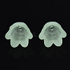 Transparent Acrylic Bead Caps FACR-N005-002C-2
