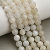 Natural White Moonstone Beads Strands G-L664-A01-8mm-A-1