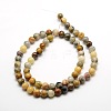 Round Natural Crazy Lace Agate Beads Strands X-G-P058B-01-1