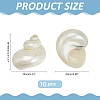 10Pcs Mini Natural Spiral Shell Beads FIND-WR0012-36-2