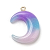 Gradient Color Resin Pendants FIND-Z010-01B-1