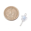 5Pcs Acrylic & Glass Pendants PALLOY-JF03526-02-5