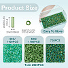 Transparent Bugle Beads Kits SEED-TA0001-57-4