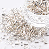 Plated Glass Bugle Beads SEED-S046-01A-21-1