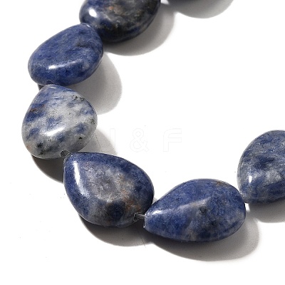 Natural Blue Spot Jasper Beads Strands G-P561-B06-01-1