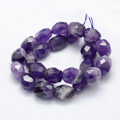 Natural Amethyst Beads Strands G-P322-45-1