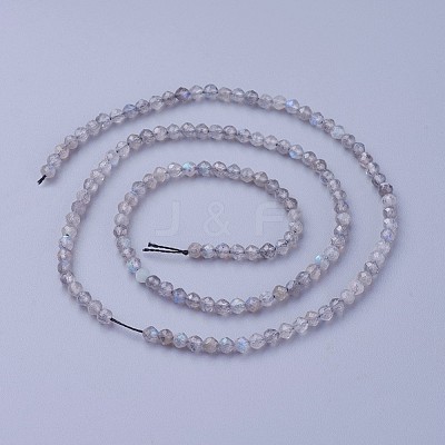 Natural Labradorite Beads Strands G-F619-15-2mm-1