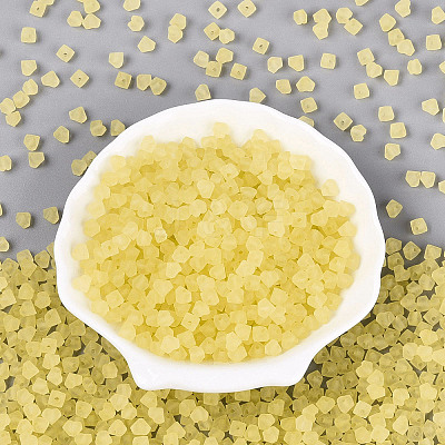 FGB Frosted Transparent Glass Seed Beads SEED-N013-03A-02-1
