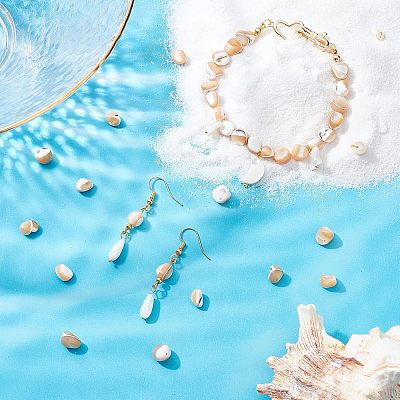 2 Strands Natural Trochid Shell/Trochus Shell Beads Strands SSHEL-FH0001-11-1
