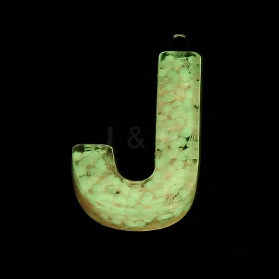 Luminous Resin Pendants X1-RESI-I059-J01-1