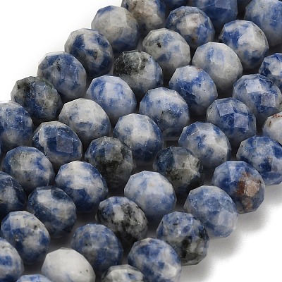 Natural Blue Spot Jasper Beads Strands G-Z111-A32-1