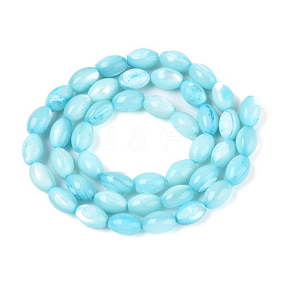 Natural Trochus Shell Beads Strands SHEL-K006-19-01B-1