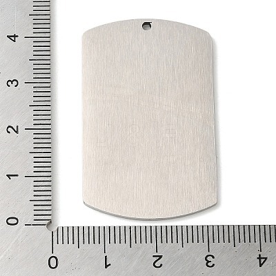 Non-Tarnish 304 Stainless Steel Pendants STAS-C098-01E-P-1
