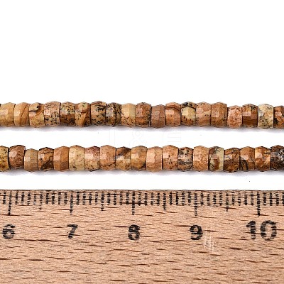 Natural Picture Jasper Beads Strands G-Q606-46A-14-1