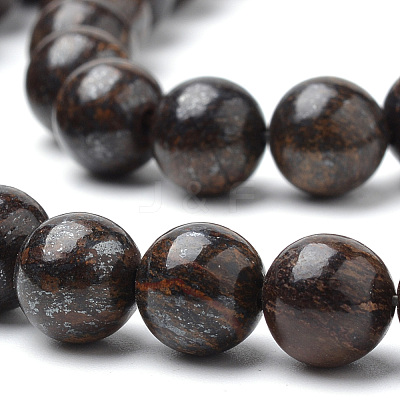 Natural Bronzite Beads Strands G-S272-01-8mm-1