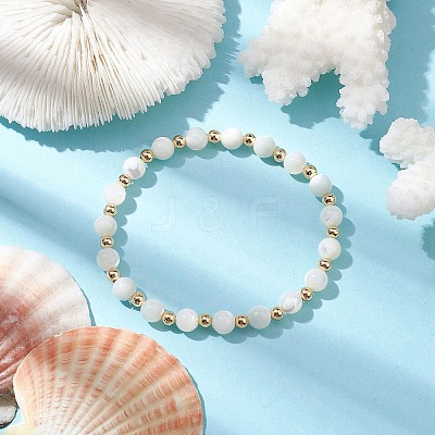 Round Natural Sea Shell Beaded Stretch Bracelets with Brass Beads for Women Men BJEW-JB10278-1