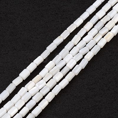 Natural Freshwater Shell Dyed Beads Strands X-SHEL-M018-12-12-1