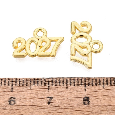 New Year's Day Alloy Charms FIND-N014-01G-1