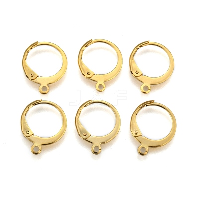304 Stainless Steel Leverback Earring Findings X-STAS-P210-30G-1