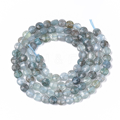 Natural Apatite Beads Strands G-S362-010-1