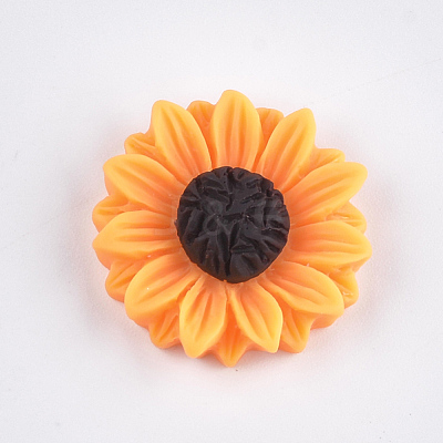 Resin Cabochons CRES-T010-59B-1