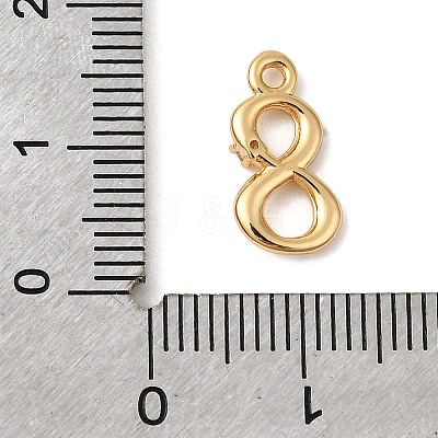 Brass Micro Pave Cubic Zirconia Charms KK-P340-24G-08-1