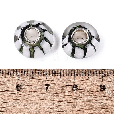 Handmade Lampwork & Brass Core European Beads LAMP-N044-01S-01-1